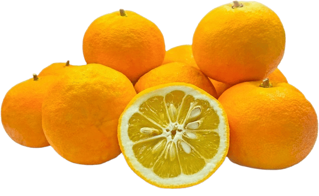 Sour Oranges